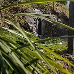 Quinta Rossadas *