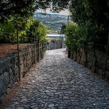 Quinta Rossadas Casa de Férias Cinfães