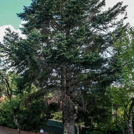 Quinta Rossadas 度假居 *