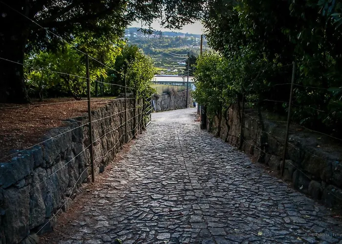 Quinta Rossadas Vakantiehuis Cinfães