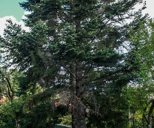 Quinta Rossadas Vakantiehuis *